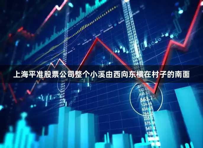 上海平准股票公司整个小溪由西向东横在村子的南面