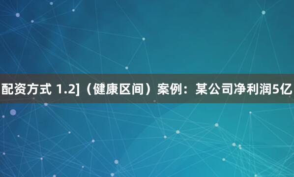 配资方式 1.2]（健康区间）案例：某公司净利润5亿