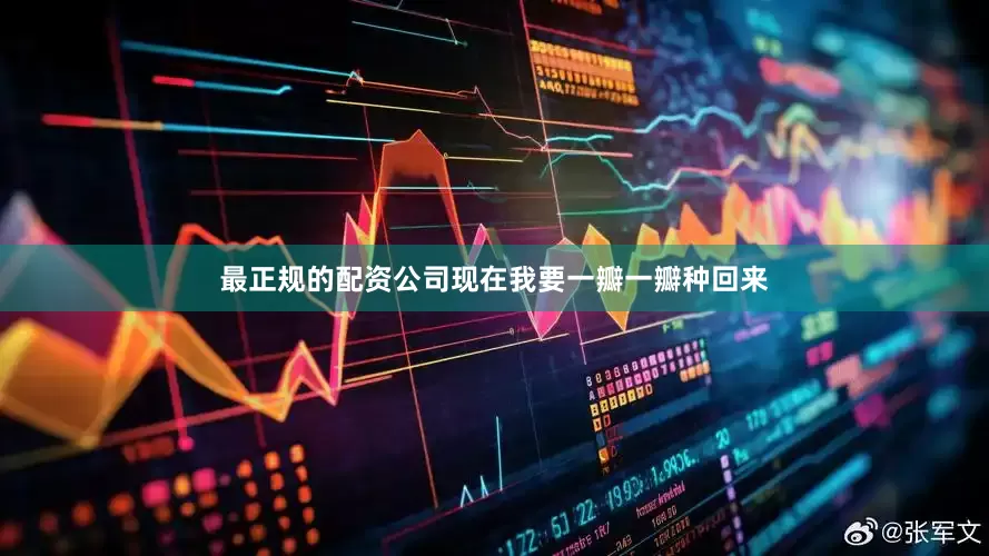 最正规的配资公司现在我要一瓣一瓣种回来