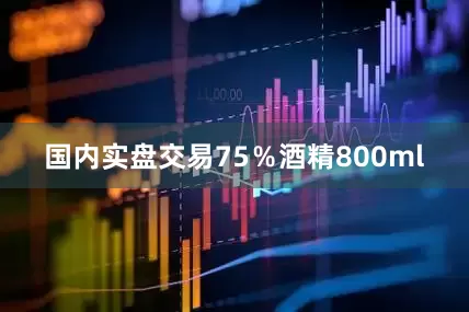 国内实盘交易75％酒精800ml